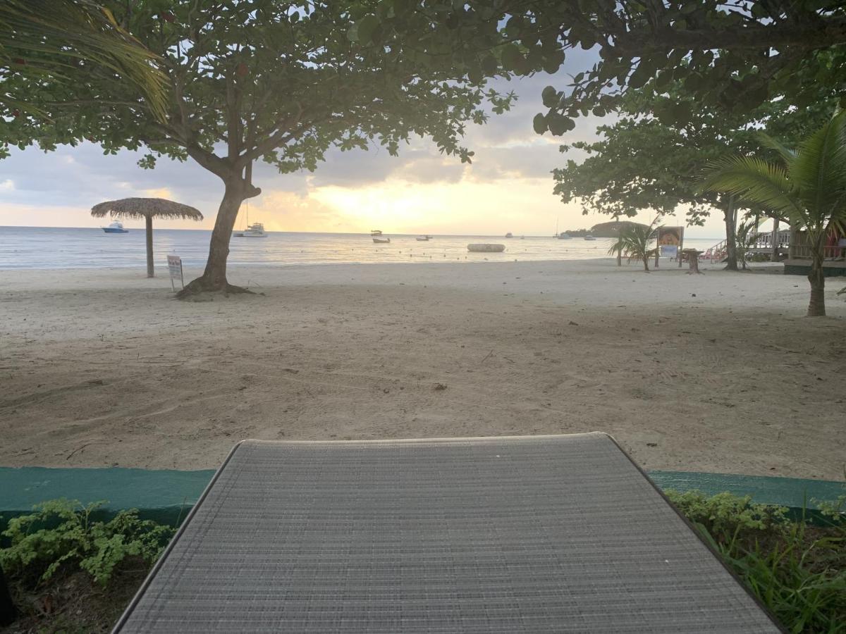 King Suite At Oceanview Resort In Jamaica - Enjoy 7 Miles Of White Sand Beach! Negril Exteriér fotografie