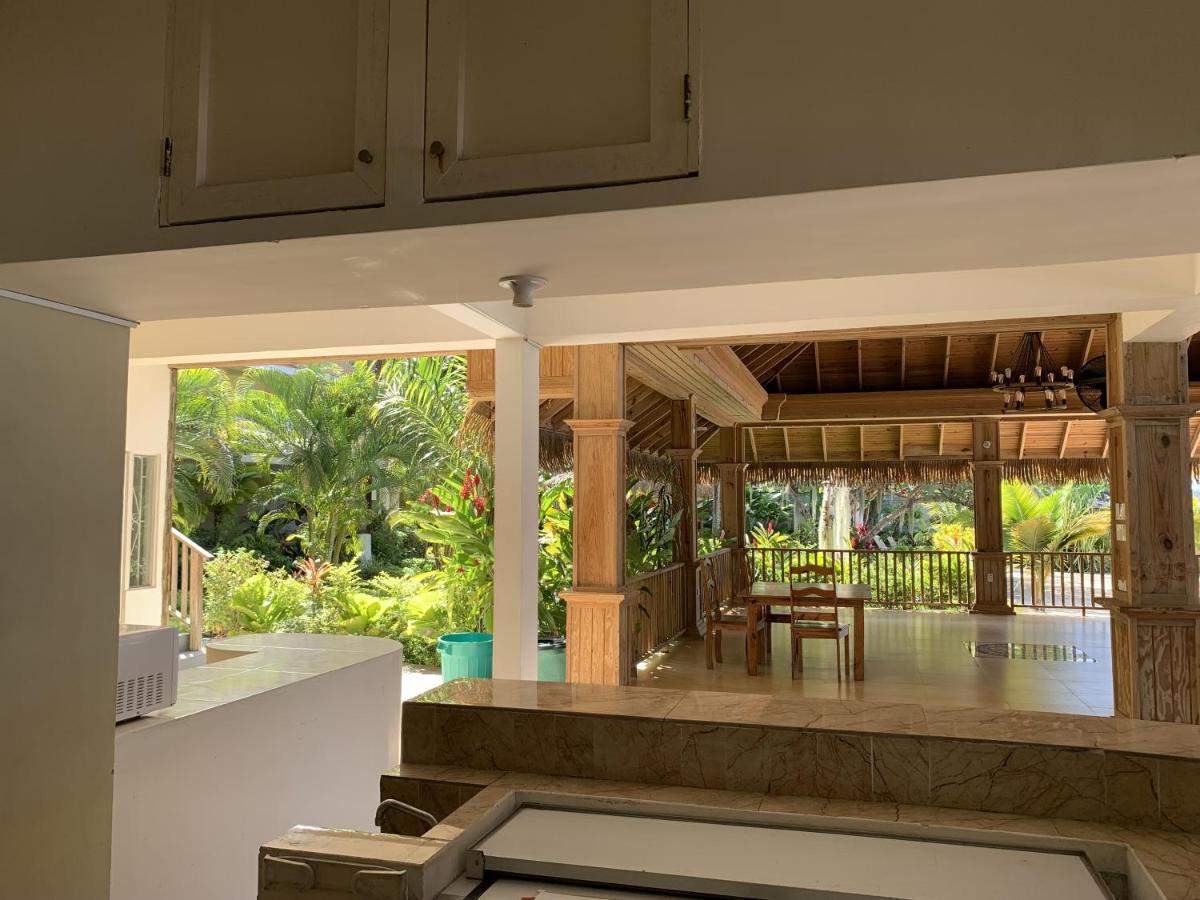 King Suite At Oceanview Resort In Jamaica - Enjoy 7 Miles Of White Sand Beach! Negril Exteriér fotografie